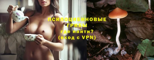 стафф Каменск-Шахтинский