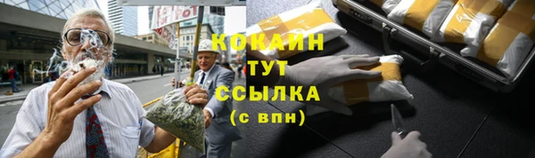 стаф Карпинск