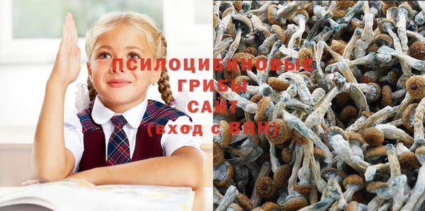 стаф Карпинск