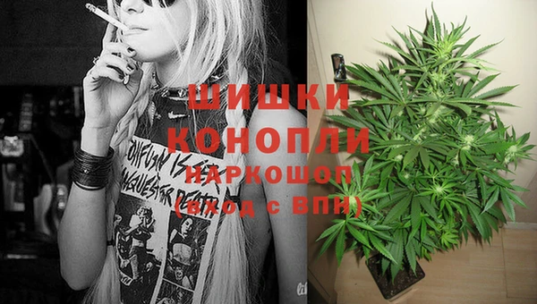 стафф Каменск-Шахтинский