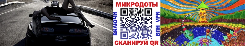 Псилоцибиновые грибы Cubensis  Норильск 