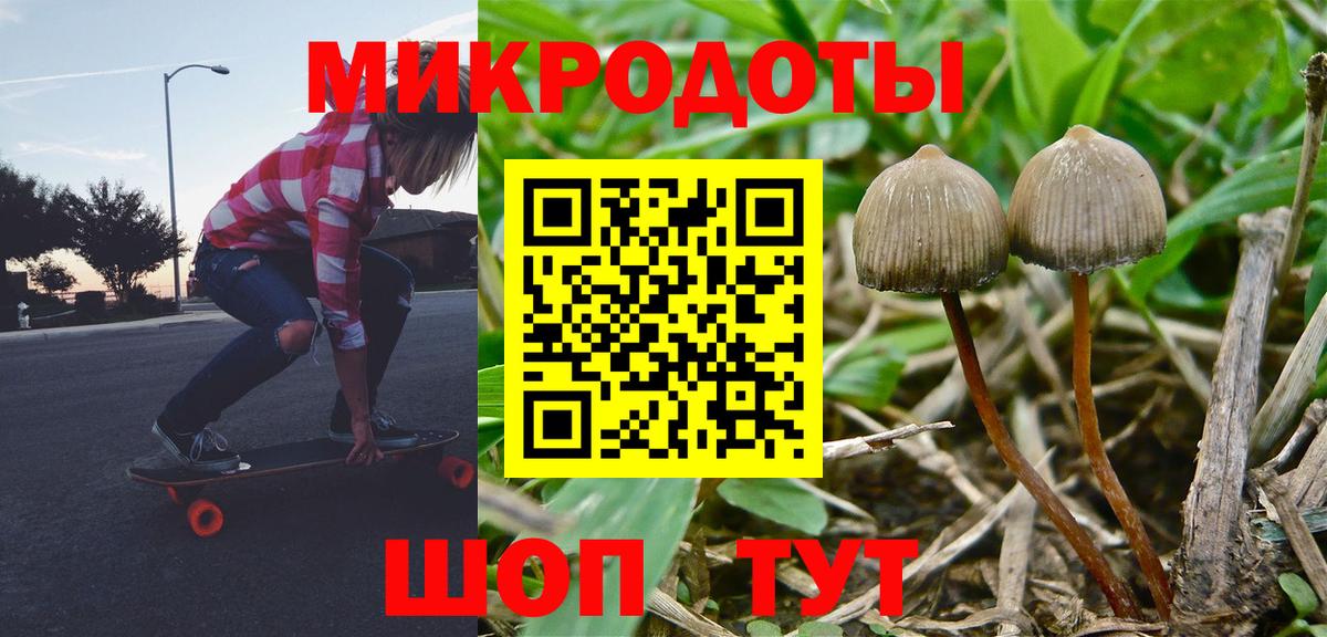 Норильск  Галлюциногенные грибы Psilocybine cubensis  закладки  Вход с VPN 