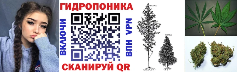 Бошки марихуана Bruce Banner  магазин продажи наркотиков  Норильск 